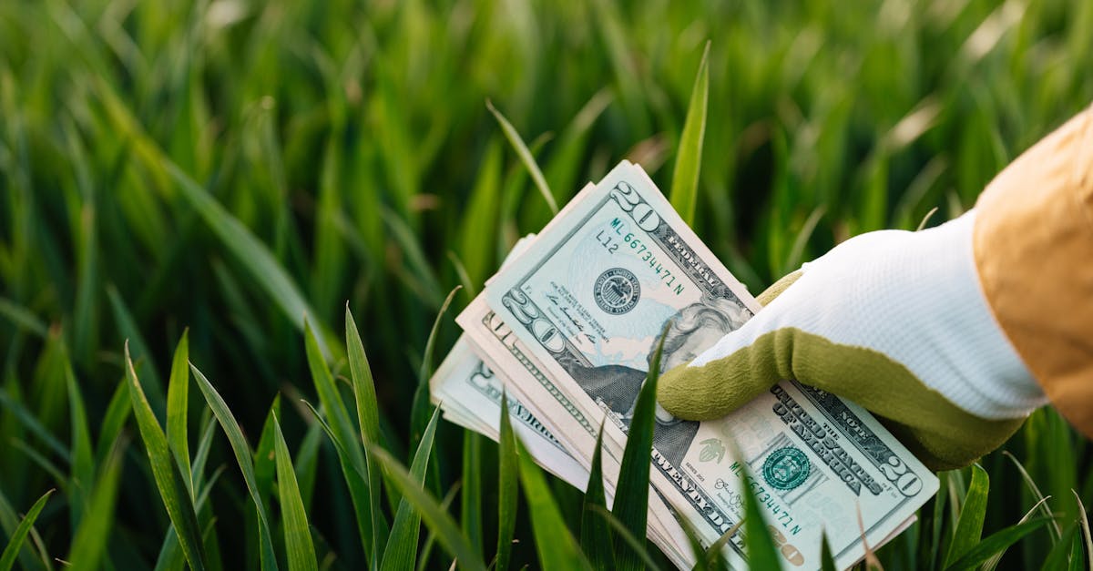 découvrez les opportunités d'investissement durable qui allient rentabilité et responsabilité environnementale. explorez nos conseils et stratégies pour contribuer à un monde plus vert tout en faisant croître votre portefeuille.