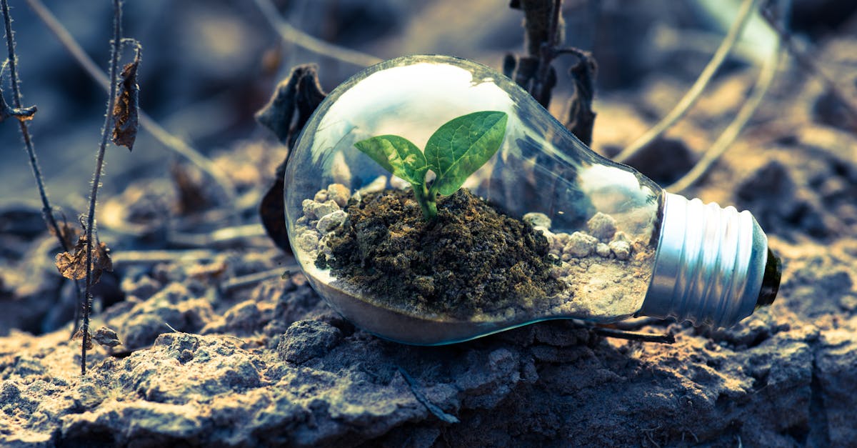 découvrez les avantages de l'énergie renouvelable, une solution durable et écologique pour un avenir énergétique respectueux de l'environnement. informez-vous sur les différentes sources d'énergie verte et leur impact positif sur la planète.