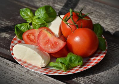 Mes voisins émerveillés : découvrez comment fabriquer ce tuteur à tomates maison en un temps record !