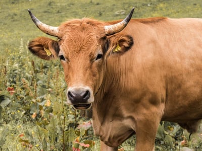 Crises et agriculture : pourquoi l’avenir se construit ensemble