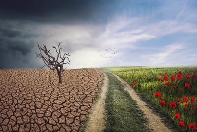 Adaptation au changement climatique : les tourbières agricoles des monts d’Arrée, site pilote central d’un projet européen innovant
