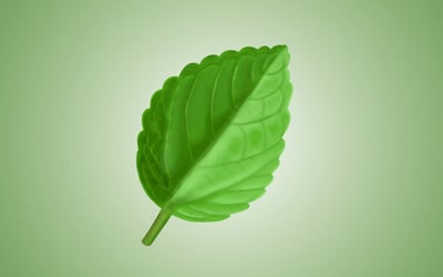 Valérie Huyg : L’ambassadrice inspirante des gestes écologiques au quotidien