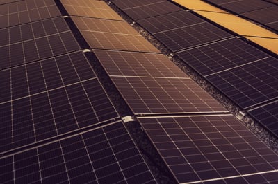 Investisseurs et énergie verte : une révolution stratégique impulsée par les politiques climatiques